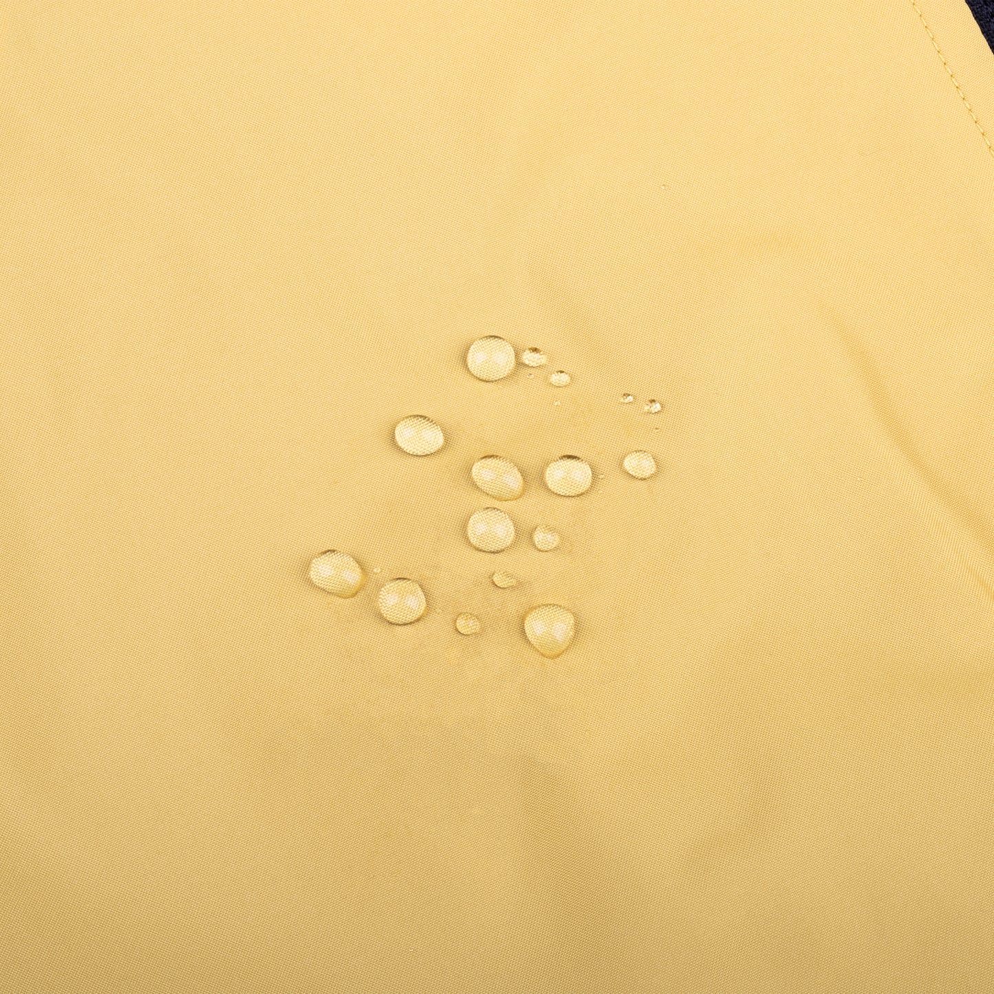 デイリーダイナミックグランドコート グラフィックロゴ