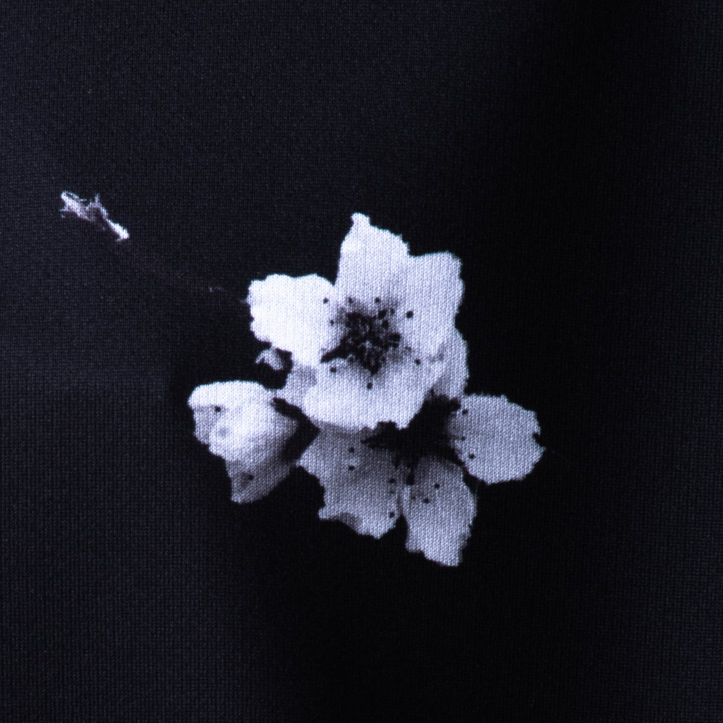 【受注生産　受注期間外】NEWARD Limited Edition - "BONSAI & SAKURA" Graphic Tee